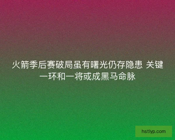 火箭季后赛破局虽有曙光仍存隐患 关键一环和一将或成黑马命脉